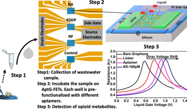 the graphene electronic multiplexed sensor (GEMS) platform
