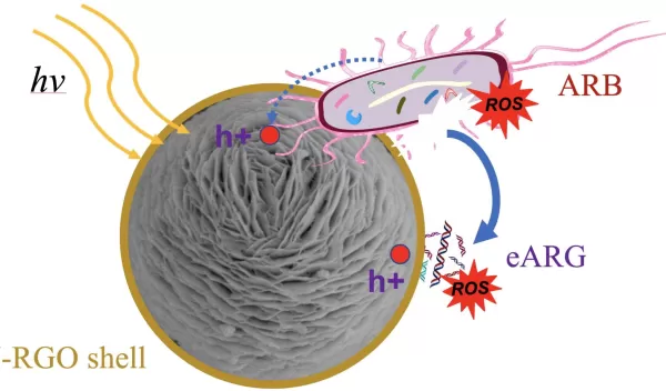 graphene oxide-wrapped nanospheres