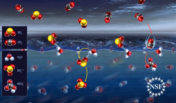 Illustration of sulfur dioxide molecules forming weak bonds with water molecules.