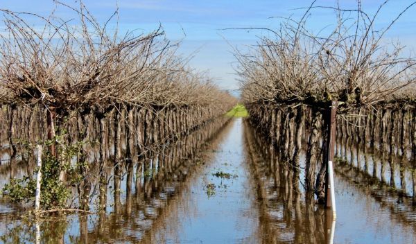 water flowing through agriculture