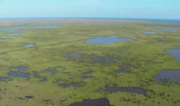 Large-scale wetlands construction may be an effective treatment for farm runoff.