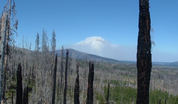 The average size of a blaze in Central Oregon is expected to increase.