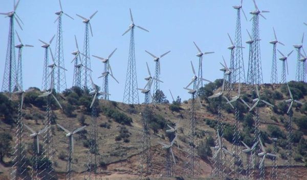 a wind farm in the Tehachapi mountains
