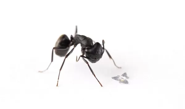A 3D microflier sits next to a common ant to show scale.