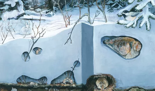 illustration showing plants and animals under snow