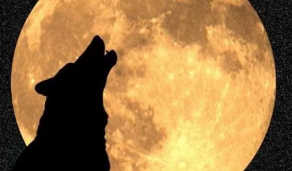 Silouette of a howling wolf with a full moon in the background.