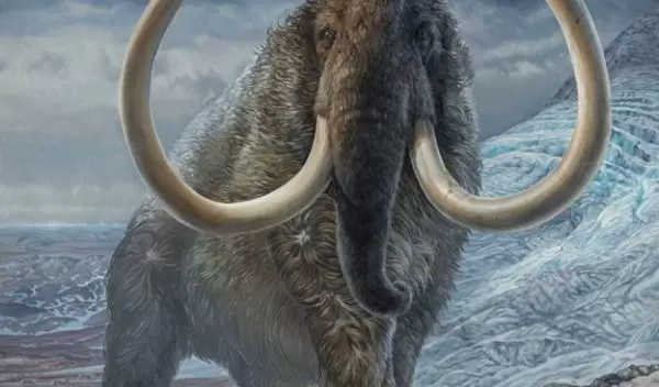 An adult male woolly mammoth navigates a mountain pass in Arctic Alaska, 17,100 years ago.