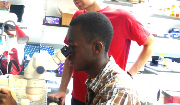 Photo of Basiru Leigh examining worms under a microscope.