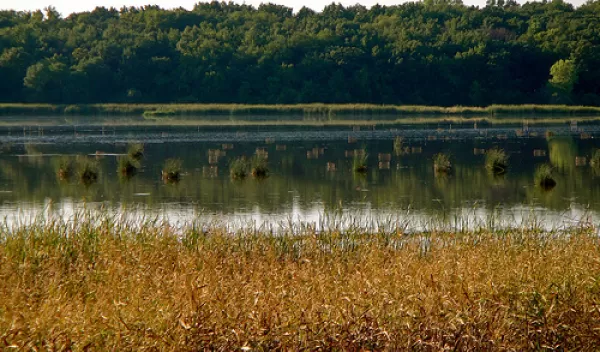 A dot on a map of the United States, Cherokee Marsh in Wisconsin is central to the Yahara watershed.
