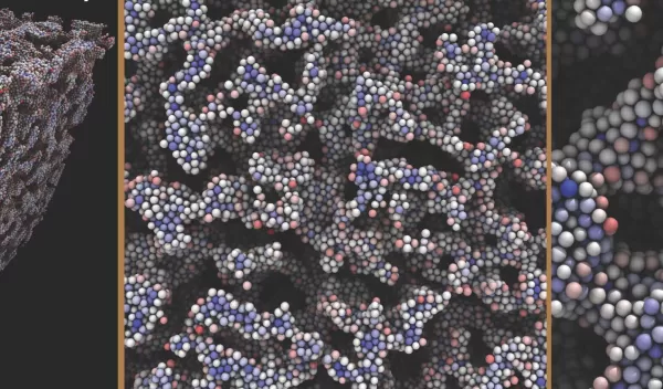 colloidal gel structure