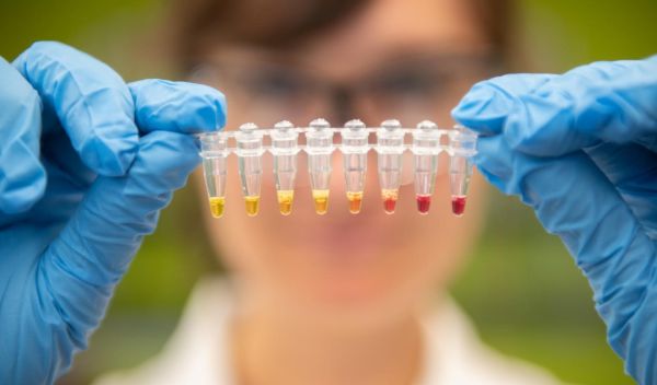 experimental zinc malnutrition test