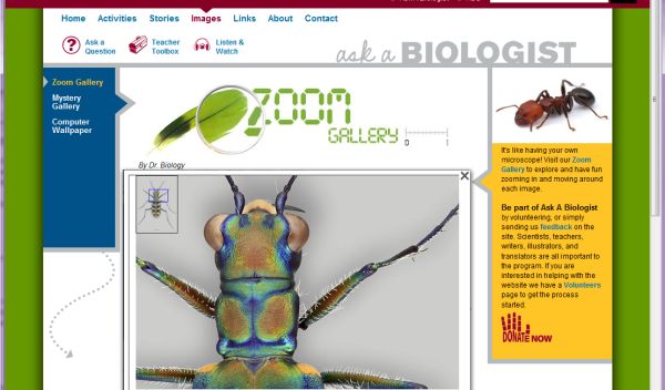 Interactive Zoom Gallery tool on the Ask a Biologist website.