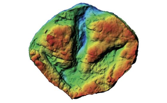 A single large meat-eating dinosaur track, likely from a tyrannosaur, at the study site.