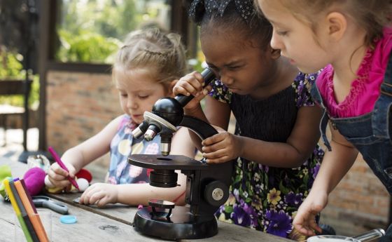 A citizen science program taught Girl Scouts to conduct research and tackle problems in their communities.