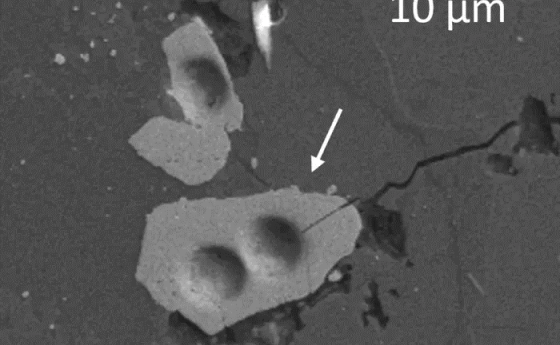 A lunar zircon grain under a microscope.