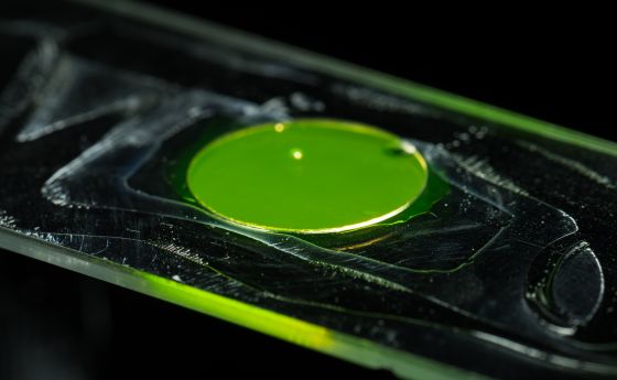 A microscope slide being prepared by Graduate Student Lynn Sidor to image the light-scattering of her glass-coated bacteria cells