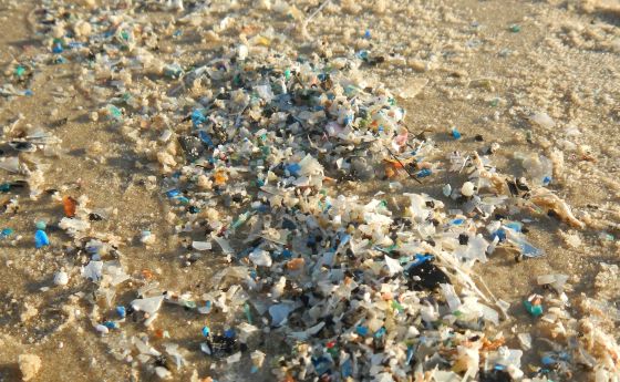 Microplastics on the Beach