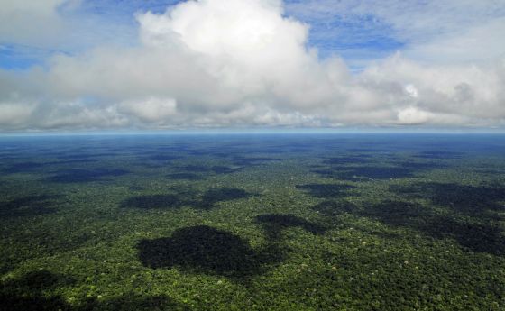 Aerial view of the Amazon Rainforest, near Manaus, the capital of the Brazilian state of Amazonas.