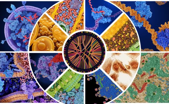 A collage of images of cells, molecules, molecular complexes, and DNA analysis., A collage of images of cells, molecules, and molecular complexes. In the center is an image of DNA analysis.