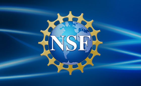 NSF logo