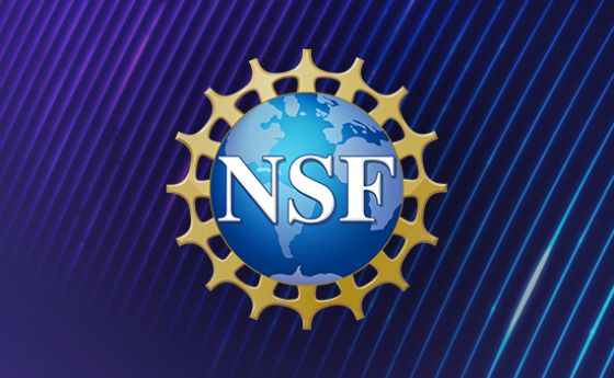 NSF logo