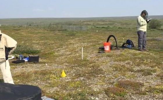 Researchers at Toolik Field Station