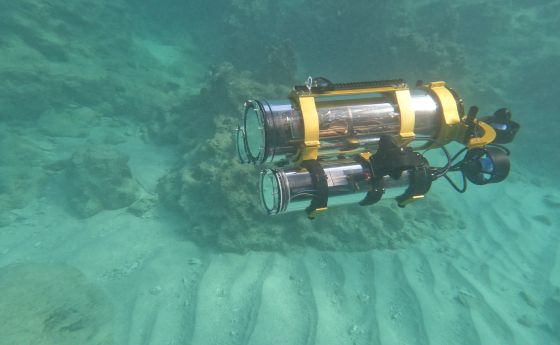 Autonomous underwater vehicle (AUV) MeCO in the Caribbean Sea.