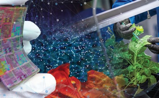 Materials_Science_ScienceMatters_Image