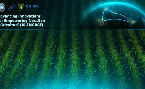 view of green crop fields with a glowing digital globe