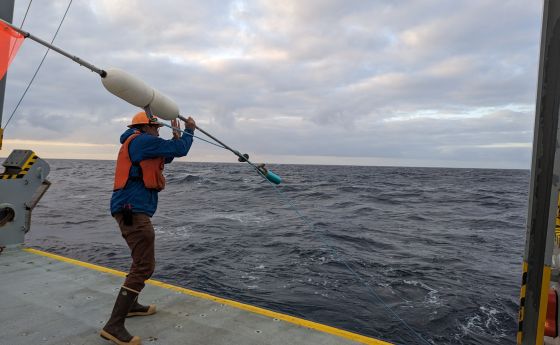 man deploying sediment trap