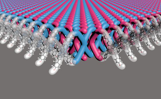 A Northwestern University-led research team has developed the first two-dimensional (2D) mechanically interlocked material. With 100 trillion mechanical bonds per 1 square centimeter, the new material contains highest density of mechanical bonds ever achieved.