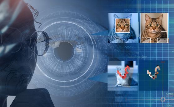 training AI model to perform