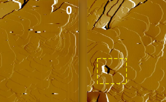 the growth of new layers on cholesterol monohydrate surfaces