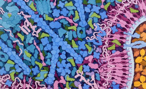 Transfer RNA and Gag Protein
