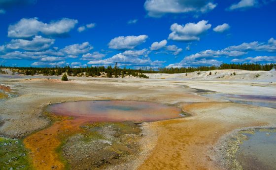 A colorful pool of water in Yellowstone