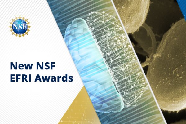 banner for New NSF EFRI Awards with image of abstract brain
