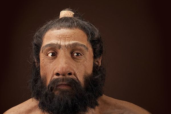 Immune and metabolic conditions have persisted in humans, including Neanderthals (pictured), for more than 700,000 years.
