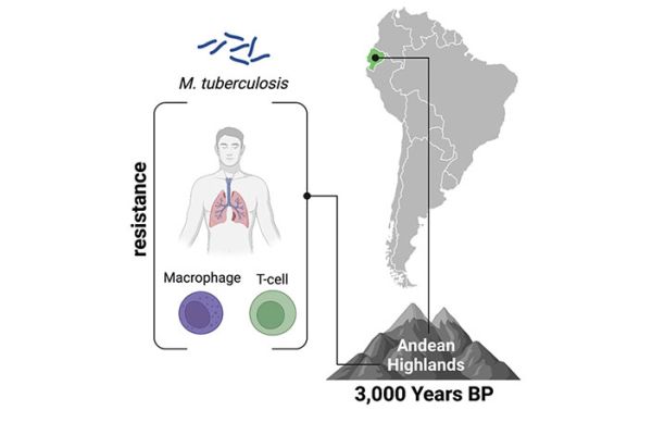 Indigenous populations in present-day Ecuador adapted to TB long before the arrival of Europeans.