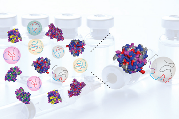 Polymer scientists are creating artificial fluids that mimic many of the properties of natural proteins.
