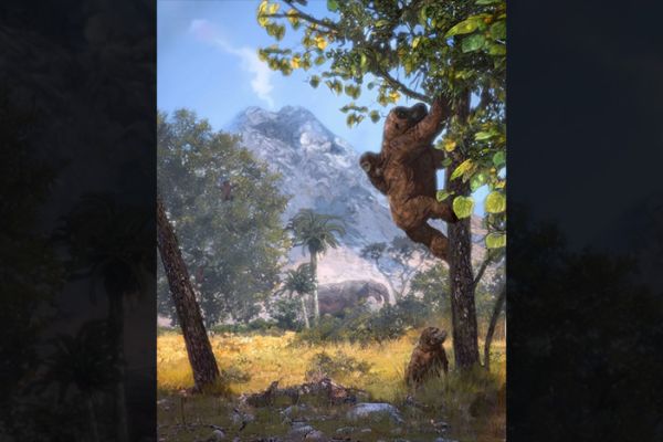 Artist's rendering of a woodland reconstruction with Morotopithecus bishopi climbing with an infant and juvenile.