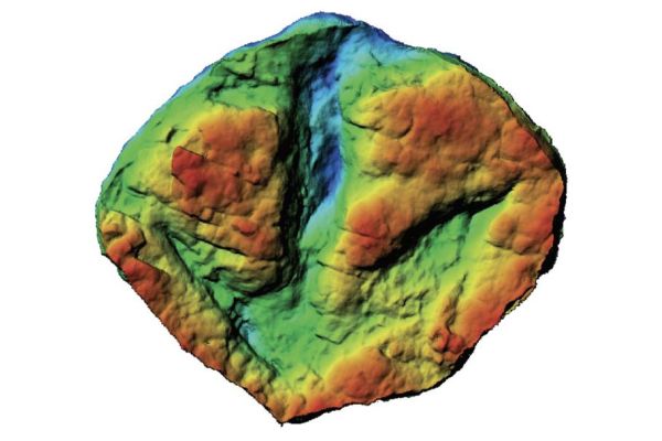 A single large meat-eating dinosaur track, likely from a tyrannosaur, at the study site.