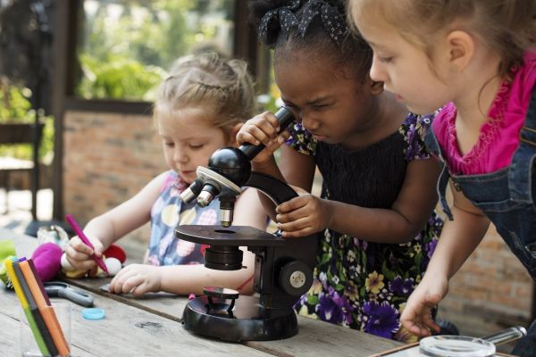 A citizen science program taught Girl Scouts to conduct research and tackle problems in their communities.