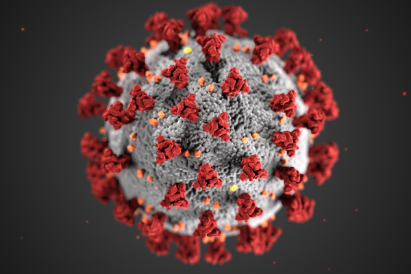 Detailed illustration of a coronavirus particle