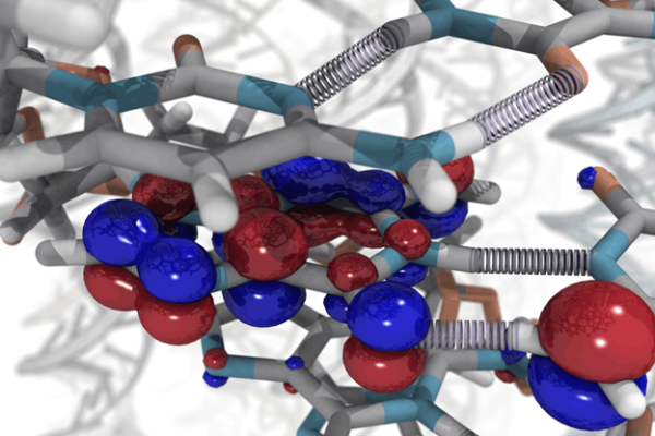 Supercomputers are unleashing a new era in biophysics discovery.