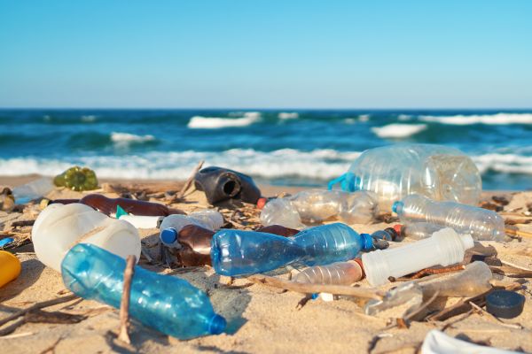 plastic bottles on the beach