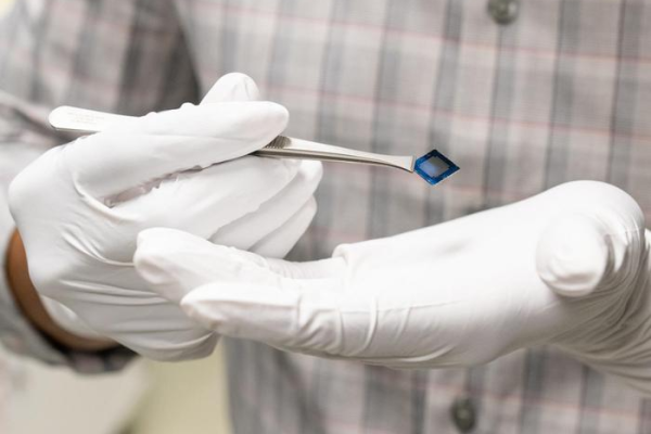 Researchers have developed a bio-inspired artificial neuron that can process visual and tactile sensory inputs together.