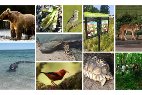 Collage of images representing the FY2024 Partnership to Advance Conservation Sceience and Practice (PACSP) awardees.