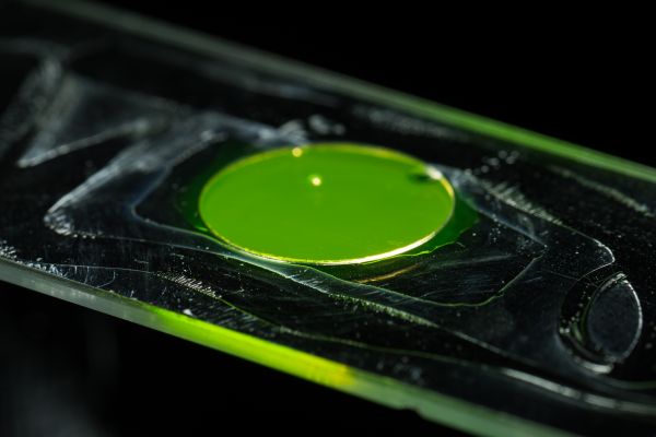 A microscope slide being prepared by Graduate Student Lynn Sidor to image the light-scattering of her glass-coated bacteria cells