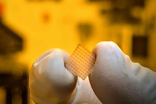 fingers holding A patterned chip with Hall bar devices 