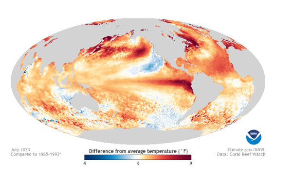 Sea surface anomalies across the Earth in July 2023 during the 2023-2024 El Niño event